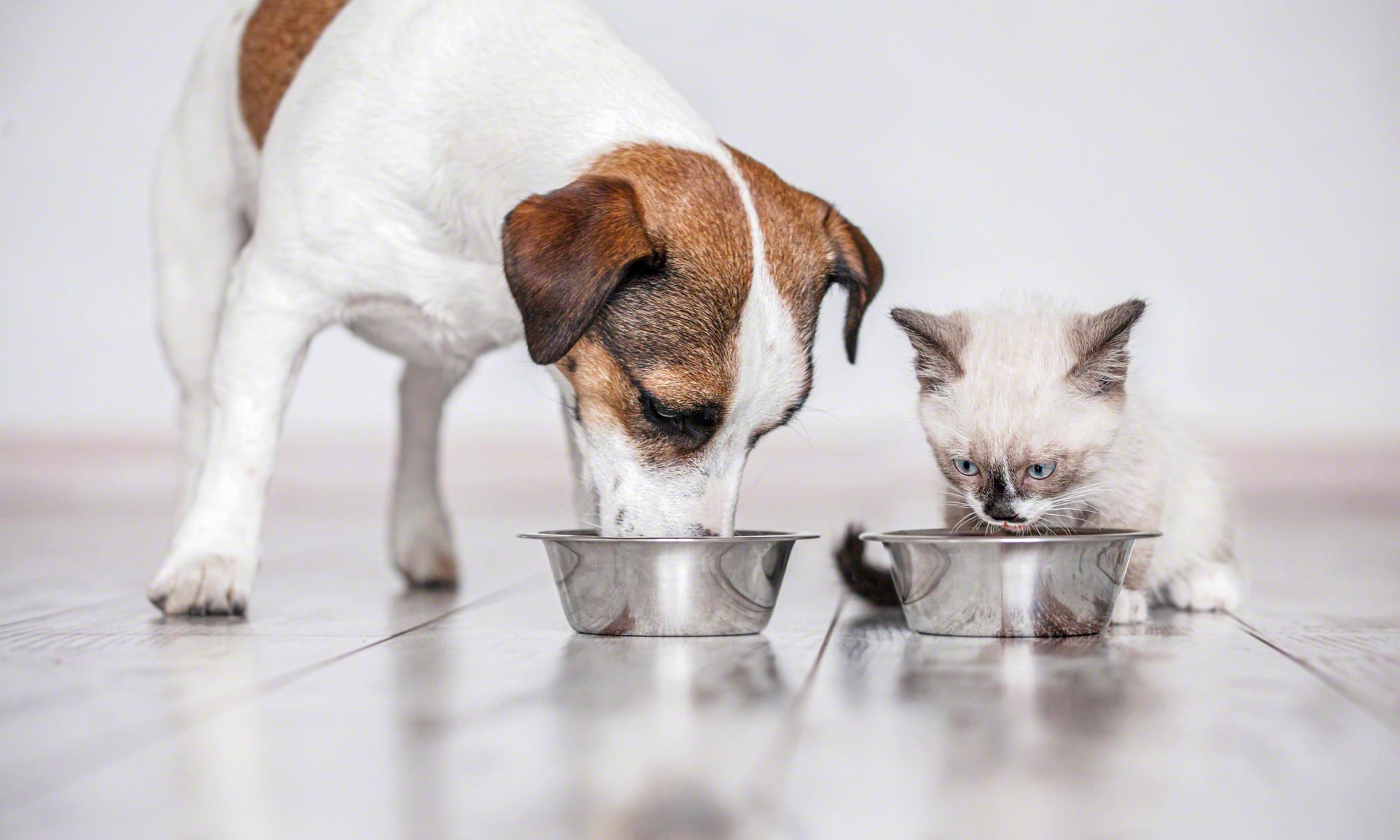Vitakraft Italia renueva su depósito de alimentos para mascotas