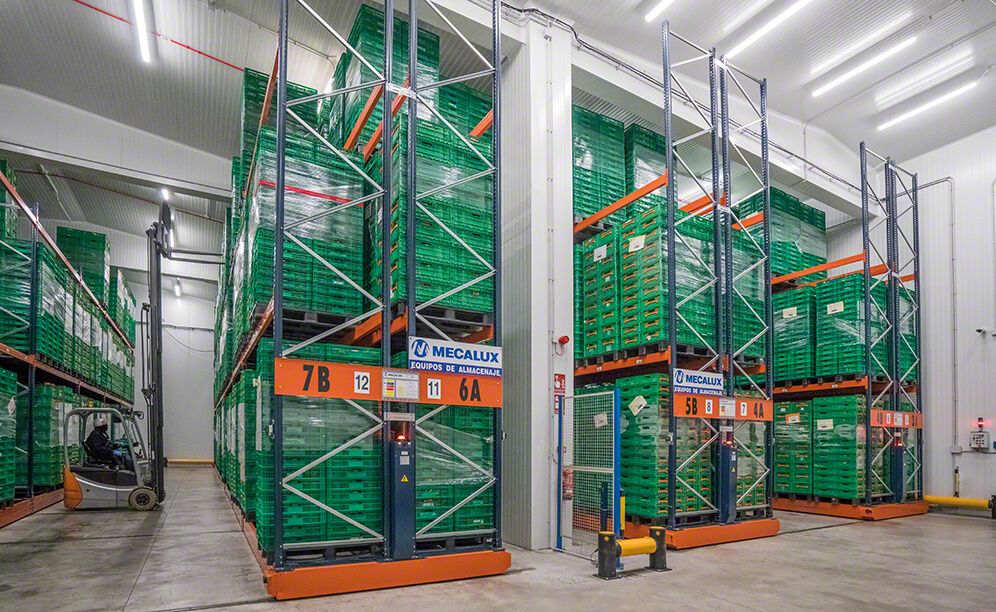 Depósito de Grupo Alimentario Citrus con varias soluciones de almacenaje